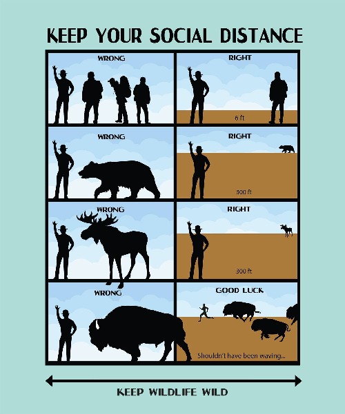 Social distancing tips and tricks | image tagged in comics/cartoons,fun,funny,memes,funny memes,bison | made w/ Imgflip meme maker