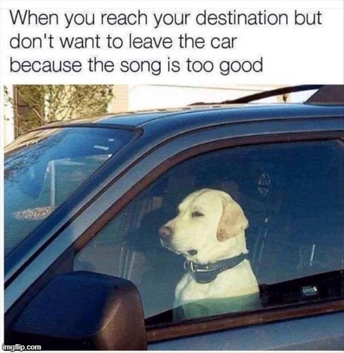 who else knows that feel tho (repost) | image tagged in repost,music,car,reposts are awesome,reposts,dog | made w/ Imgflip meme maker