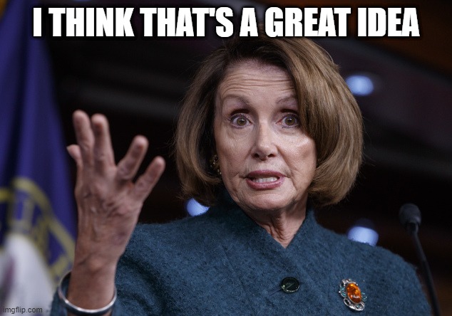 Good old Nancy Pelosi | I THINK THAT'S A GREAT IDEA | image tagged in good old nancy pelosi | made w/ Imgflip meme maker