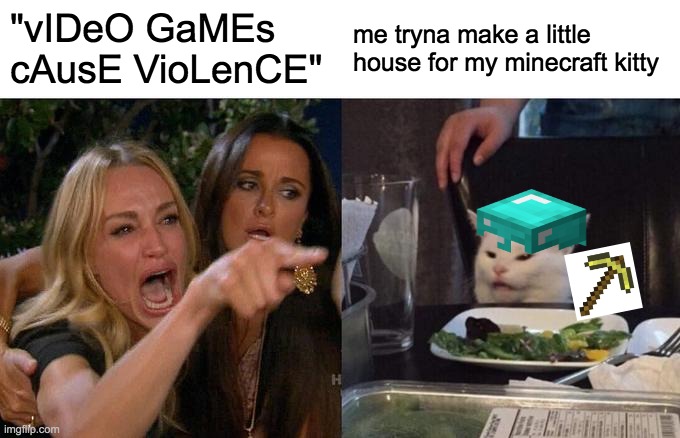 did you know netherite mines slower than gold? | "vIDeO GaMEs cAusE VioLenCE"; me tryna make a little house for my minecraft kitty | image tagged in memes,woman yelling at cat | made w/ Imgflip meme maker
