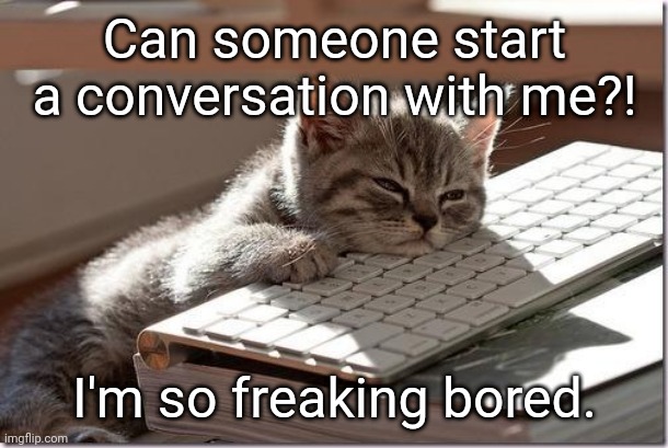 Bored Keyboard Cat | Can someone start a conversation with me?! I'm so freaking bored. | image tagged in bored keyboard cat | made w/ Imgflip meme maker