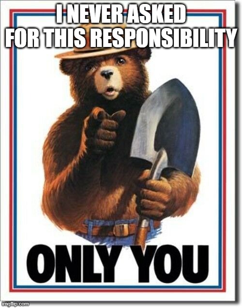 smokey the bear | I NEVER ASKED FOR THIS RESPONSIBILITY | image tagged in smokey,funny,fires | made w/ Imgflip meme maker