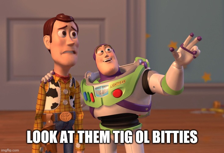 Tig ol bitties | LOOK AT THEM TIG OL BITTIES | image tagged in memes,x x everywhere | made w/ Imgflip meme maker