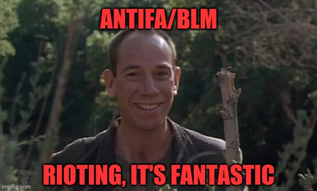 Rioting It's Fantastic! | ANTIFA/BLM; RIOTING, IT'S FANTASTIC | image tagged in blm,black lives matter,antifa,leftist,democrat party | made w/ Imgflip meme maker