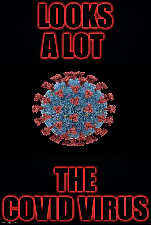LOOKS A LOT THE COVID VIRUS | image tagged in black background | made w/ Imgflip meme maker