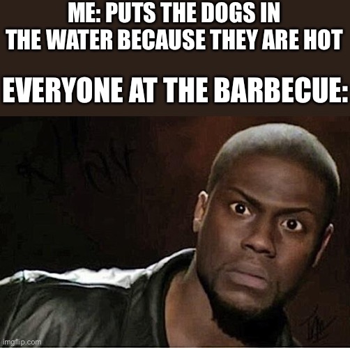 Barbecue | ME: PUTS THE DOGS IN THE WATER BECAUSE THEY ARE HOT; EVERYONE AT THE BARBECUE: | image tagged in memes,kevin hart,fun | made w/ Imgflip meme maker