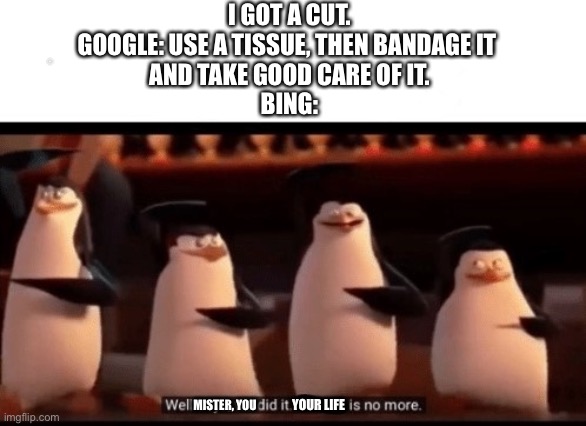 Bing | I GOT A CUT.
GOOGLE: USE A TISSUE, THEN BANDAGE IT 
AND TAKE GOOD CARE OF IT.
BING:; YOU; MISTER, YOU; YOUR LIFE | image tagged in well boys we did it blank is no more | made w/ Imgflip meme maker
