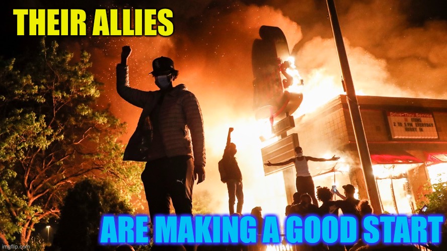 BLM Riots | THEIR ALLIES ARE MAKING A GOOD START | image tagged in blm riots | made w/ Imgflip meme maker