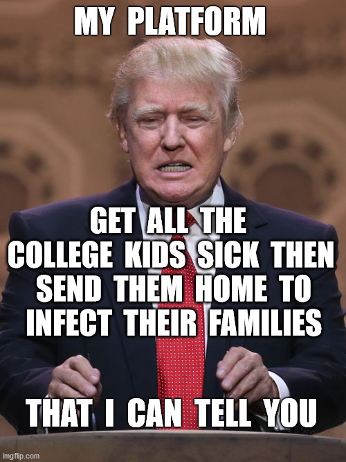 I can finally admit it | MY  PLATFORM; GET  ALL  THE  COLLEGE  KIDS  SICK  THEN  SEND  THEM  HOME  TO  INFECT  THEIR  FAMILIES; THAT  I  CAN  TELL  YOU | image tagged in donald trump,republicans,platform,covid,pandemic,funny memes | made w/ Imgflip meme maker