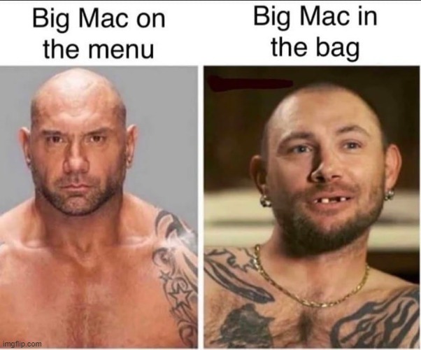 McD's is so gross | image tagged in mcdonalds,mcdonald's,repost,gross,fast food,false advertising | made w/ Imgflip meme maker