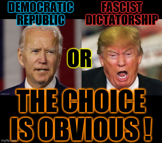 For 244 years, we've been free, in a Democratic Republic. Now, this asshole wants a Fascist form of Authoritarian Dictatorship! | OR; THE CHOICE IS OBVIOUS ! | image tagged in freedom,fascism,dictator,trump is an asshole,2020 elections,psychopath | made w/ Imgflip meme maker