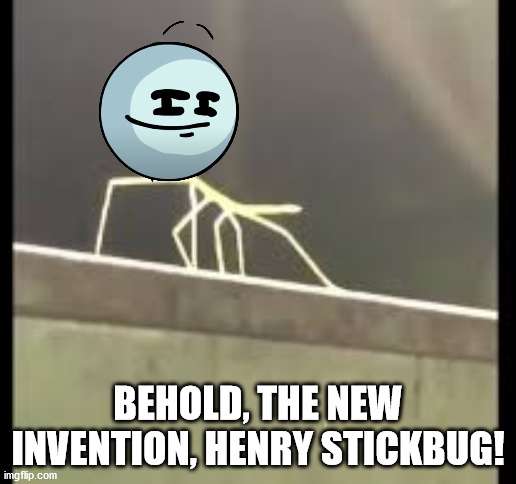 Henry Stickbug | BEHOLD, THE NEW INVENTION, HENRY STICKBUG! | image tagged in stickbug | made w/ Imgflip meme maker