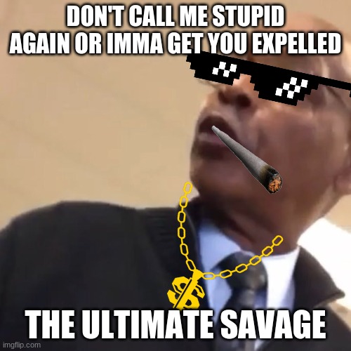 Whoever Threw That Paper, Yo Mom's A Hoe | DON'T CALL ME STUPID AGAIN OR IMMA GET YOU EXPELLED; THE ULTIMATE SAVAGE | image tagged in whoever threw that paper yo mom's a hoe | made w/ Imgflip meme maker