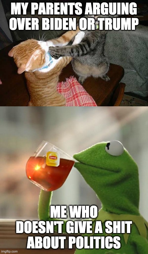 MY PARENTS ARGUING OVER BIDEN OR TRUMP; ME WHO DOESN'T GIVE A SHIT ABOUT POLITICS | image tagged in two cats fighting for real,memes,but that's none of my business | made w/ Imgflip meme maker