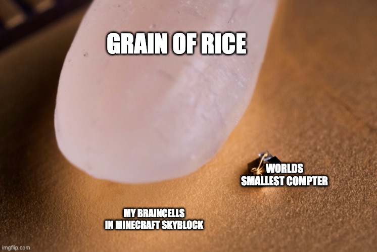 True fax | GRAIN OF RICE; WORLDS SMALLEST COMPTER; MY BRAINCELLS IN MINECRAFT SKYBLOCK | image tagged in grain of rice | made w/ Imgflip meme maker