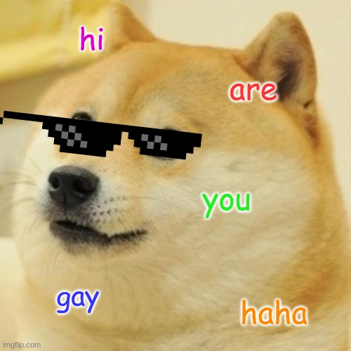 Doge Meme | hi; are; you; gay; haha | image tagged in memes,doge | made w/ Imgflip meme maker