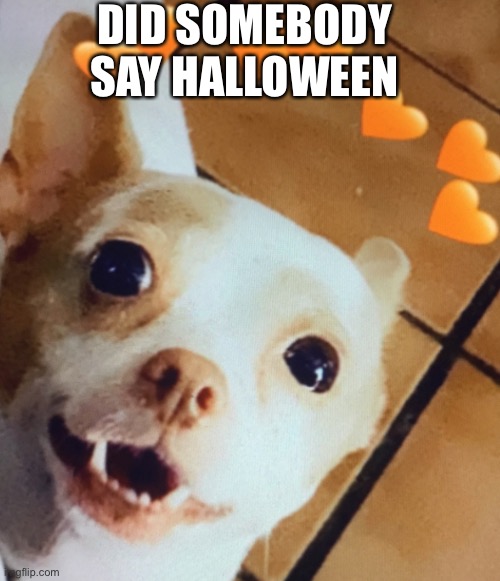 Art Meme | DID SOMEBODY SAY HALLOWEEN | image tagged in funny | made w/ Imgflip meme maker