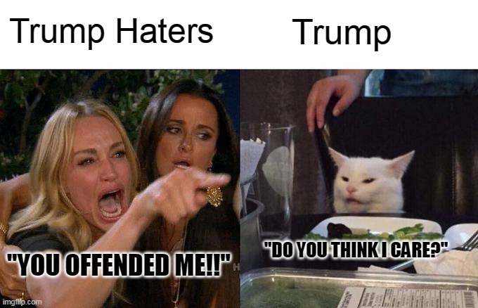 Woman Yelling At Cat Meme | Trump; Trump Haters; "DO YOU THINK I CARE?"; "YOU OFFENDED ME!!" | image tagged in memes,woman yelling at cat | made w/ Imgflip meme maker