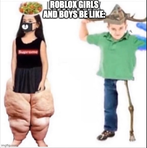 Roblox girls and boys | ROBLOX GIRLS AND BOYS BE LIKE: | image tagged in roblox girls and boys | made w/ Imgflip meme maker