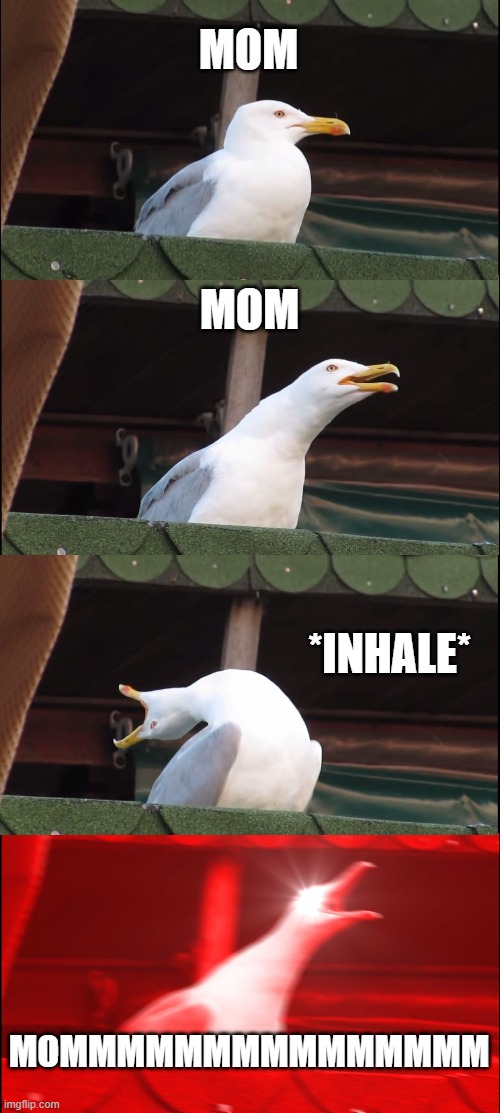 relatable | MOM; MOM; *INHALE*; MOMMMMMMMMMMMMMMM | image tagged in memes,inhaling seagull | made w/ Imgflip meme maker