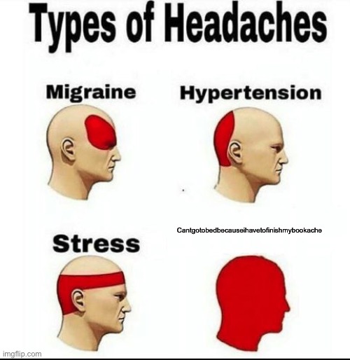 Types of Headaches meme | Cantgotobedbecauseihavetofinishmybookache | image tagged in types of headaches meme | made w/ Imgflip meme maker