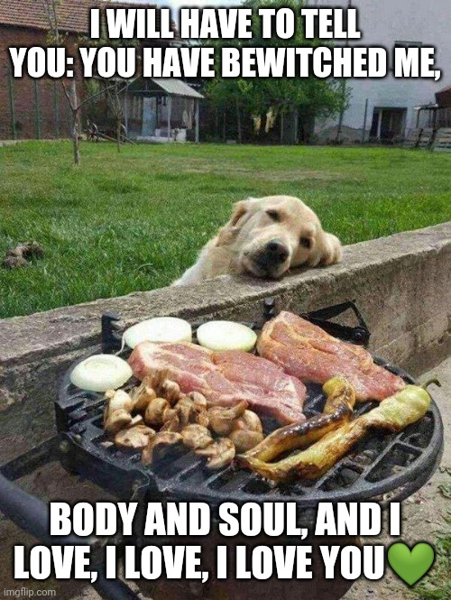 Pure Love | I WILL HAVE TO TELL YOU: YOU HAVE BEWITCHED ME, BODY AND SOUL, AND I LOVE, I LOVE, I LOVE YOU💚 | image tagged in dog bbq | made w/ Imgflip meme maker