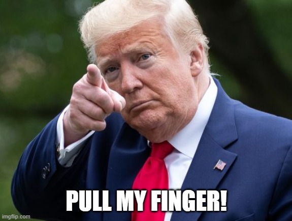 Pull My Finger | PULL MY FINGER! | image tagged in pull my finger | made w/ Imgflip meme maker