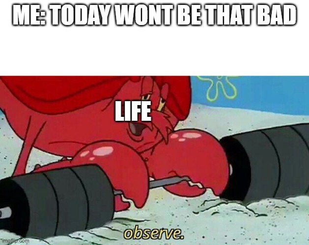 my life in a nutshell | ME: TODAY WONT BE THAT BAD; LIFE | image tagged in observe | made w/ Imgflip meme maker
