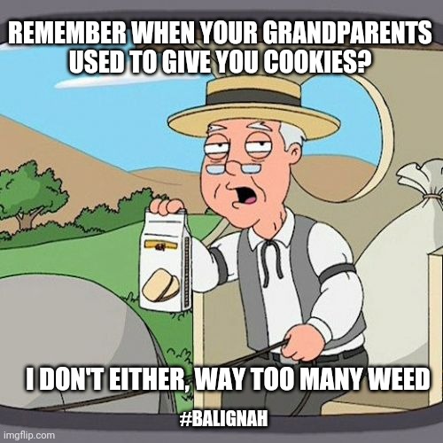 Stonedface | REMEMBER WHEN YOUR GRANDPARENTS USED TO GIVE YOU COOKIES? I DON'T EITHER, WAY TOO MANY WEED; #BALIGNAH | image tagged in memes,pepperidge farm remembers,first world stoner problems,weed,pot | made w/ Imgflip meme maker