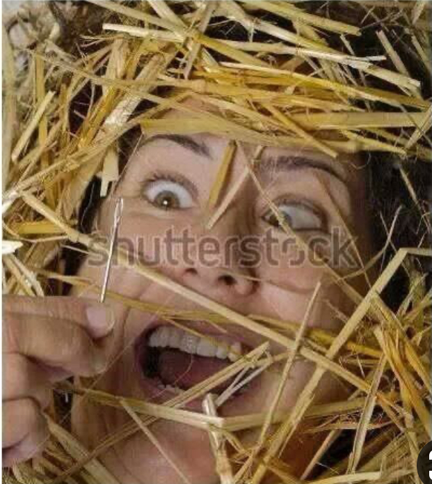 High Quality Hay Stack Needle Blank Meme Template