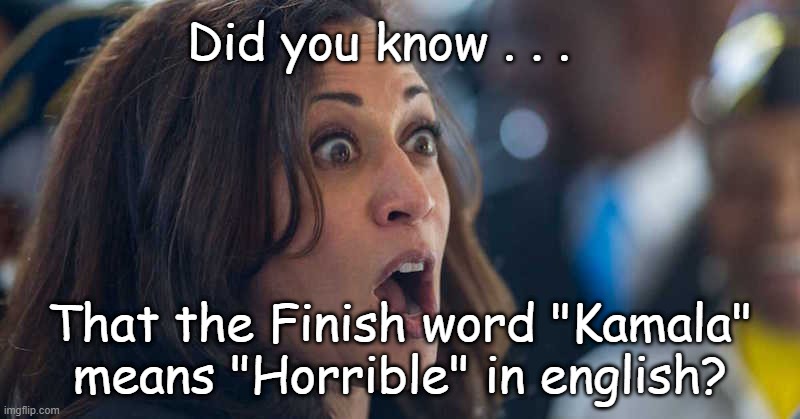 Kamala = Horrible | Did you know . . . That the Finish word "Kamala" means "Horrible" in english? | image tagged in kamala harriss | made w/ Imgflip meme maker