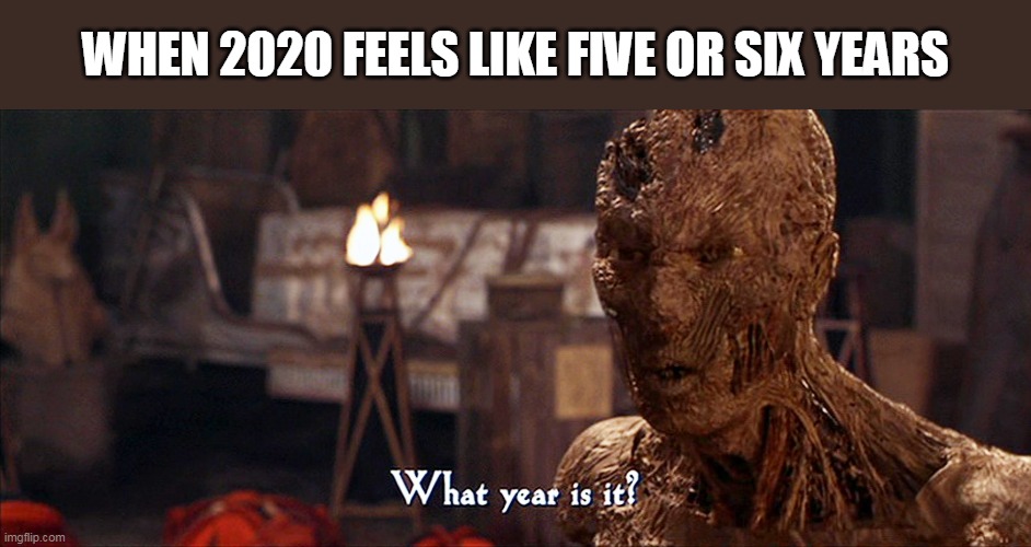 What Year Is It Imhotep | WHEN 2020 FEELS LIKE FIVE OR SIX YEARS | image tagged in what year is it imhotep | made w/ Imgflip meme maker