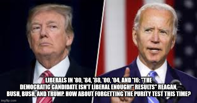 purity test | LIBERALS IN '80, '84, '88, '00, '04, AND '16: "THE DEMOCRATIC CANDIDATE ISN'T LIBERAL ENOUGH!" RESULTS" REAGAN, BUSH, BUSH, AND TRUMP. HOW ABOUT FORGETTING THE PURITY TEST THIS TIME? | image tagged in liberals,joe biden,donald trump,trump,purity test,reagan | made w/ Imgflip meme maker