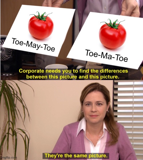 They're The Same Picture Meme | Toe-May-Toe; Toe-Ma-Toe | image tagged in memes,they're the same picture | made w/ Imgflip meme maker