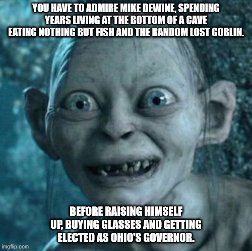 Gollum DeWine | YOU HAVE TO ADMIRE MIKE DEWINE, SPENDING YEARS LIVING AT THE BOTTOM OF A CAVE EATING NOTHING BUT FISH AND THE RANDOM LOST GOBLIN. BEFORE RAISING HIMSELF UP, BUYING GLASSES AND GETTING ELECTED AS OHIO'S GOVERNOR. | image tagged in memes,gollum | made w/ Imgflip meme maker