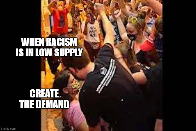 Heat seekers | WHEN RACISM IS IN LOW SUPPLY; CREATE THE DEMAND | image tagged in blm,protesters,all white | made w/ Imgflip meme maker