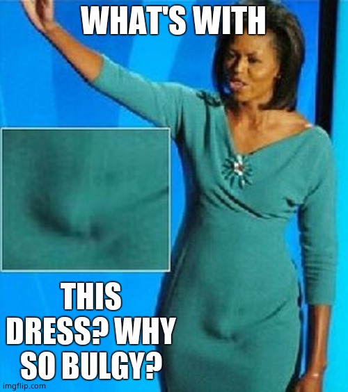 Michelle Obama Has a Penis | WHAT'S WITH THIS DRESS? WHY SO BULGY? | image tagged in michelle obama has a penis | made w/ Imgflip meme maker