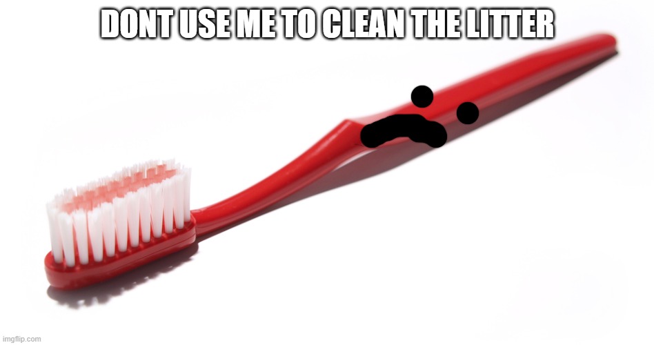 Toothbrush | DONT USE ME TO CLEAN THE LITTER | image tagged in toothbrush | made w/ Imgflip meme maker