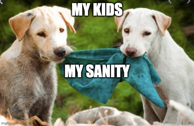 Tug of War | MY KIDS; MY SANITY | image tagged in parenting,cute puppies | made w/ Imgflip meme maker
