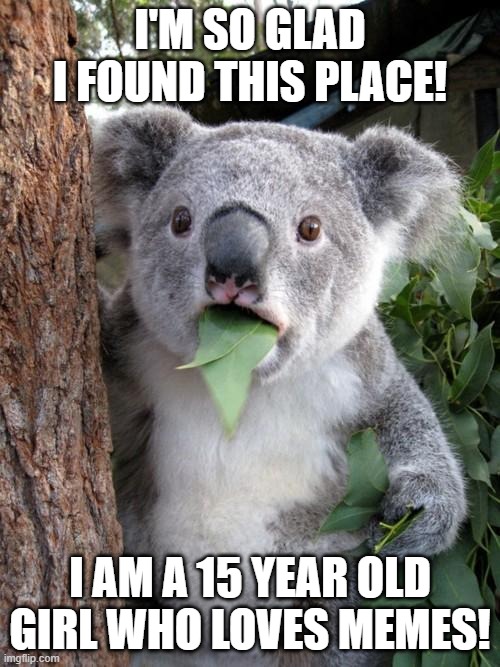Surprised Koala Meme |  I'M SO GLAD I FOUND THIS PLACE! I AM A 15 YEAR OLD GIRL WHO LOVES MEMES! | image tagged in memes,surprised koala | made w/ Imgflip meme maker