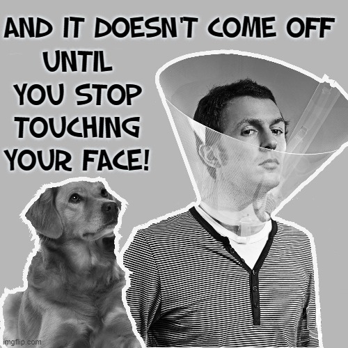 If Dogs were Our Masters... | UNTIL YOU STOP TOUCHING YOUR FACE! AND IT DOESN'T COME OFF | image tagged in vince vance,dogs,funny dog memes,touching,your face,collar | made w/ Imgflip meme maker