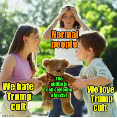 Both sides suck | Normal people; The ability to call someone a fascist; We love 
Trump
cult; We hate 
Trump
cult | image tagged in politics | made w/ Imgflip meme maker