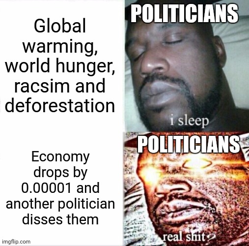 Why does this happen | Global warming, world hunger, racsim and deforestation; POLITICIANS; Economy drops by 0.00001 and another politician disses them; POLITICIANS | image tagged in memes,sleeping shaq | made w/ Imgflip meme maker