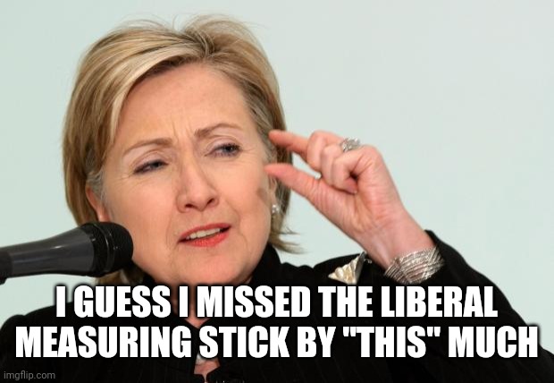 Hillary Clinton Fingers | I GUESS I MISSED THE LIBERAL MEASURING STICK BY "THIS" MUCH | image tagged in hillary clinton fingers | made w/ Imgflip meme maker