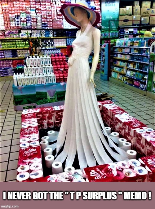 Toilet paper dress | I NEVER GOT THE " T P SURPLUS " MEMO ! | image tagged in funny memes,toilet paper,no more toilet paper,grocery store,dress,tp | made w/ Imgflip meme maker