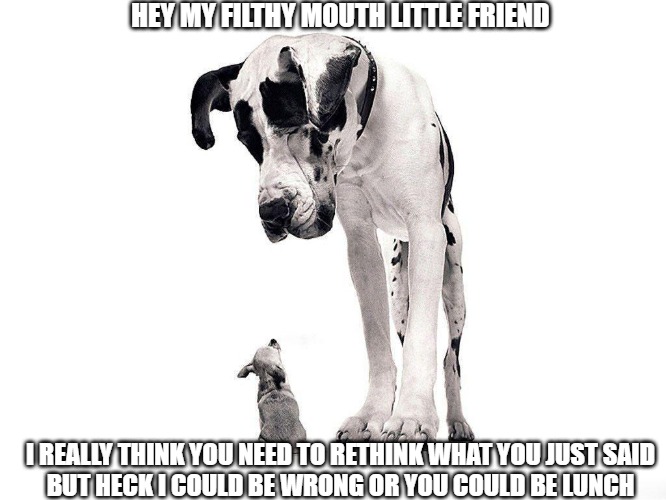 The Yoots today, love them or eat them | HEY MY FILTHY MOUTH LITTLE FRIEND; I REALLY THINK YOU NEED TO RETHINK WHAT YOU JUST SAID
BUT HECK I COULD BE WRONG OR YOU COULD BE LUNCH | image tagged in dogs,puppies,memes,fun,funny,2020 | made w/ Imgflip meme maker