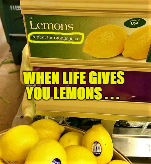 When life gives you lemons | WHEN LIFE GIVES YOU LEMONS . . . | image tagged in funny memes,when life gives you lemons,lemons,lemon juice,bad day,bad luck | made w/ Imgflip meme maker