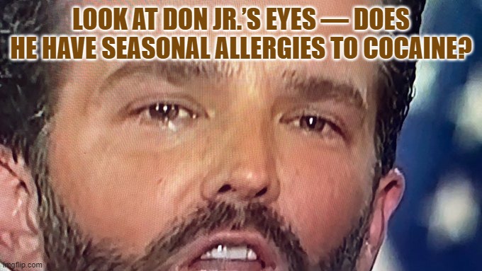 Don Jr allergies to coke? | LOOK AT DON JR.’S EYES — DOES HE HAVE SEASONAL ALLERGIES TO COCAINE? | image tagged in donald trump,election 2020 | made w/ Imgflip meme maker