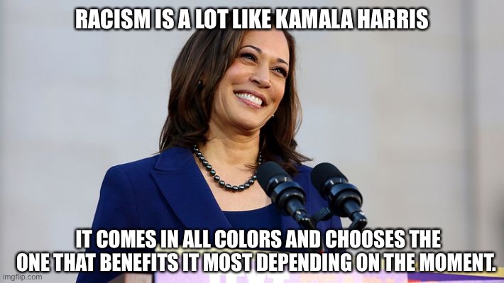 A lot like Kamala | RACISM IS A LOT LIKE KAMALA HARRIS; IT COMES IN ALL COLORS AND CHOOSES THE ONE THAT BENEFITS IT MOST DEPENDING ON THE MOMENT. | image tagged in racism,kamala harris,black and white | made w/ Imgflip meme maker