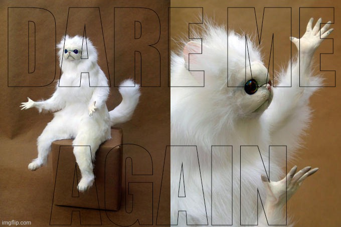 HehEHehEHe | DARE ME; AGAIN | image tagged in memes,persian cat room guardian | made w/ Imgflip meme maker
